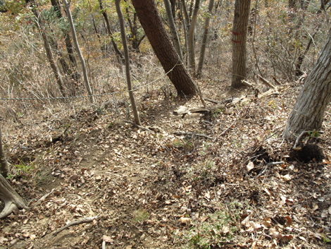 20181126hike (164)